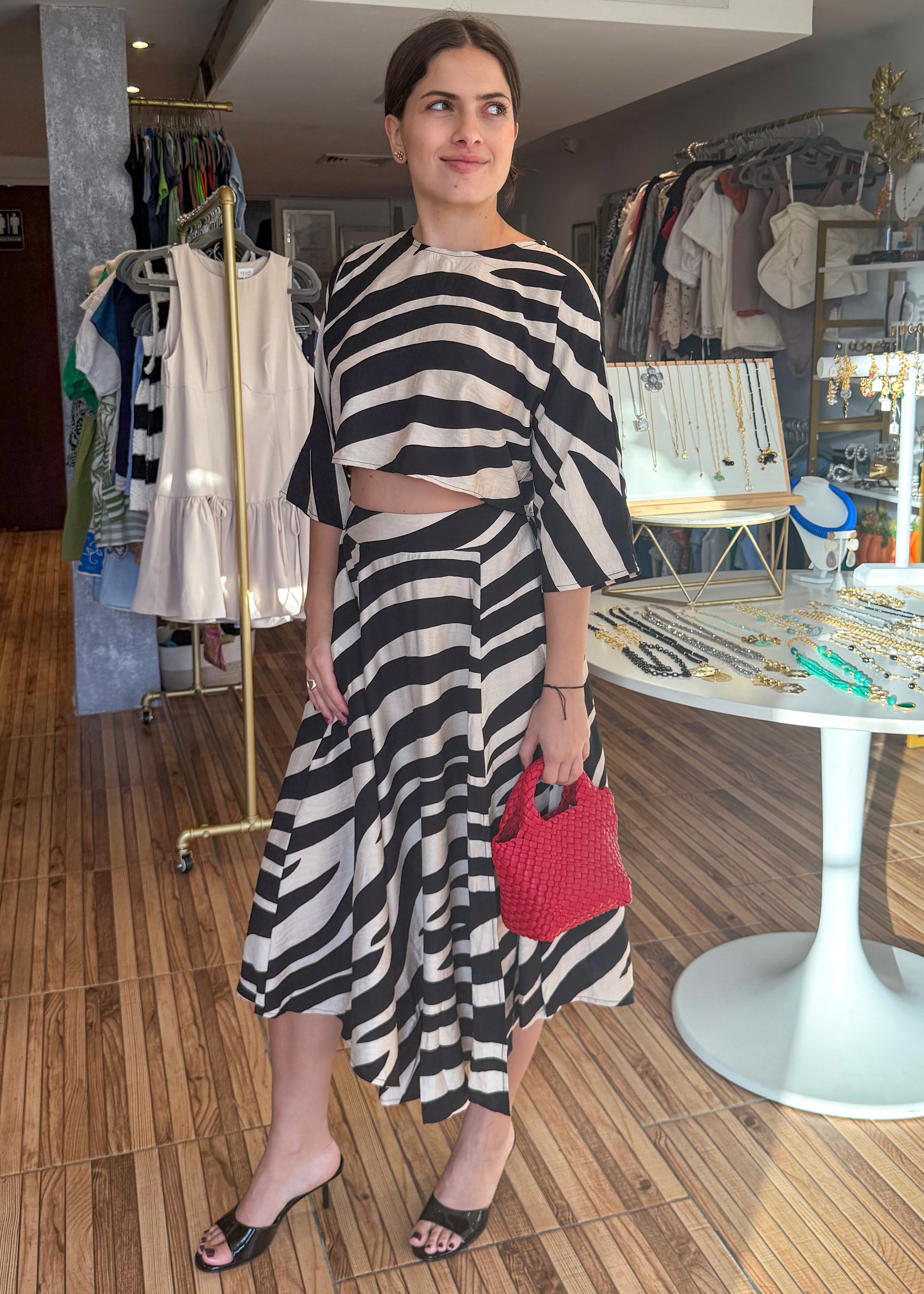 Stacy Zebra Print Set