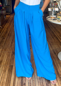 Ocean blue pleated wide leg trousers.